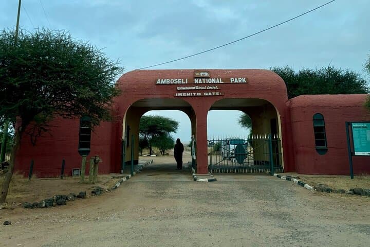 Premium Amboseli Day Trip from Nairobi