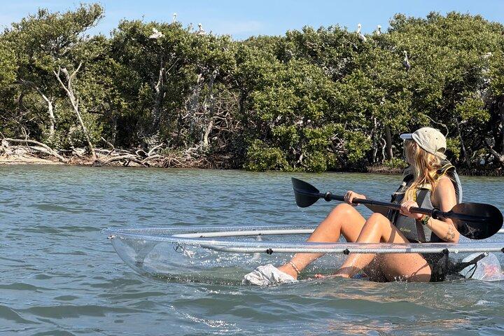 Clear Kayak Tour of Clearwater Beach