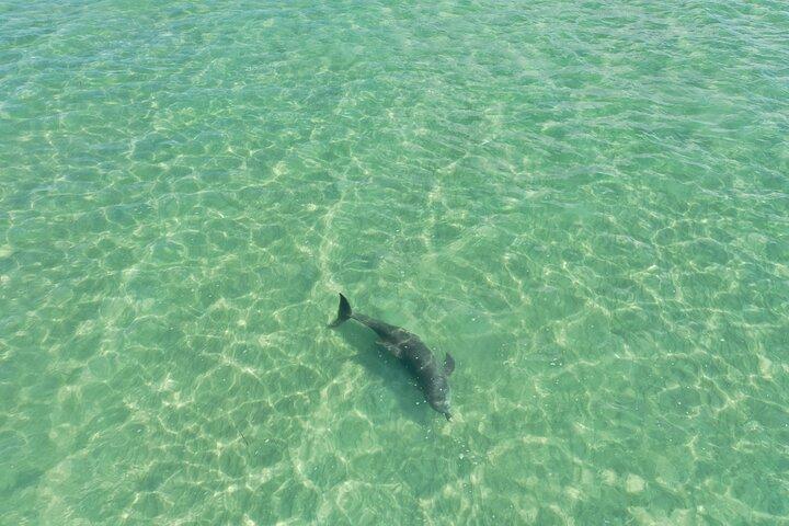 Clear Kayak Tour of Clearwater Beach