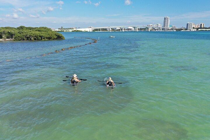 Clear Kayak Tour of Clearwater Beach