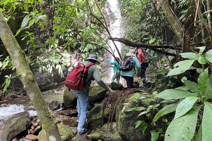 Full Day Private Sierra Nevada Tour with Transport