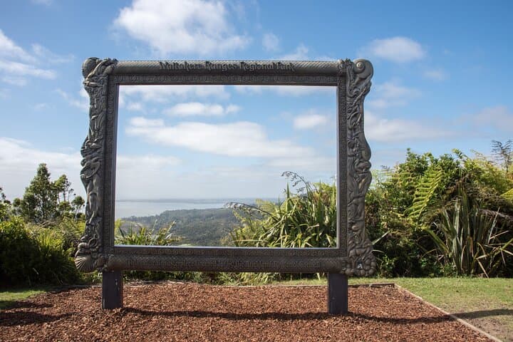 Auckland West Coast Half-Day Private Tour
