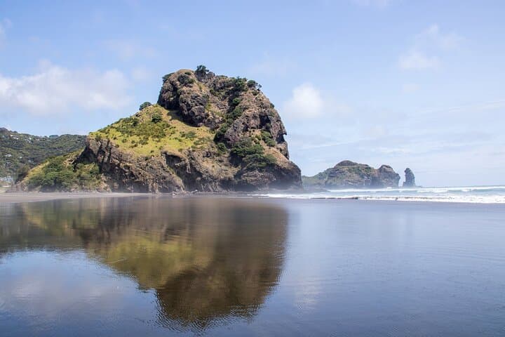 Auckland West Coast Half-Day Private Tour