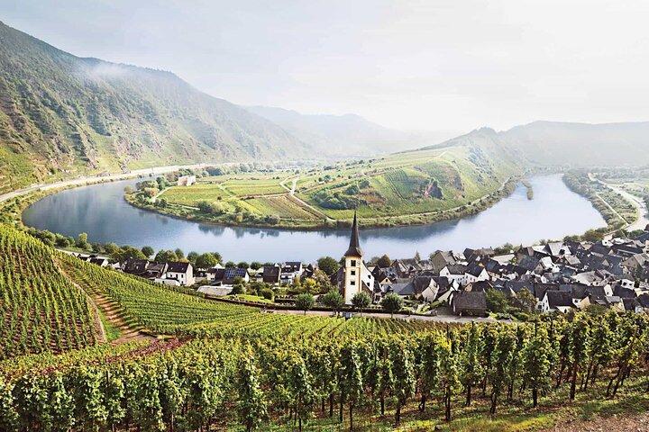 Luxembourg: Moselle Wine Tasting & Castle Private Day Tour