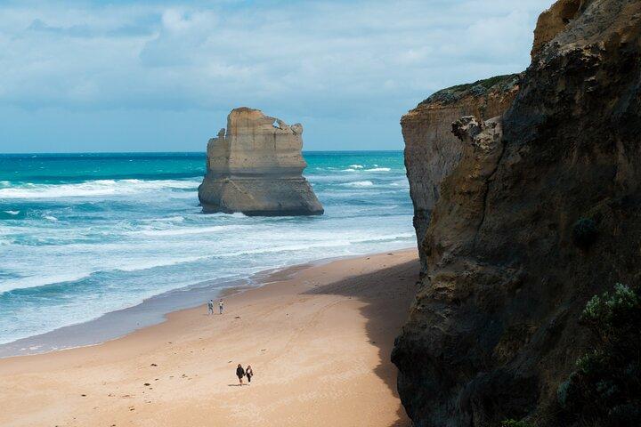 12 Apostles, Otways & Great Ocean Road Day Tour - Small Group