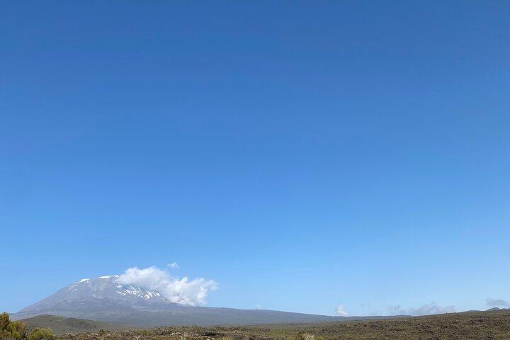 Kilimanjaro Day Hike via Lemosho Route Full Day Experience