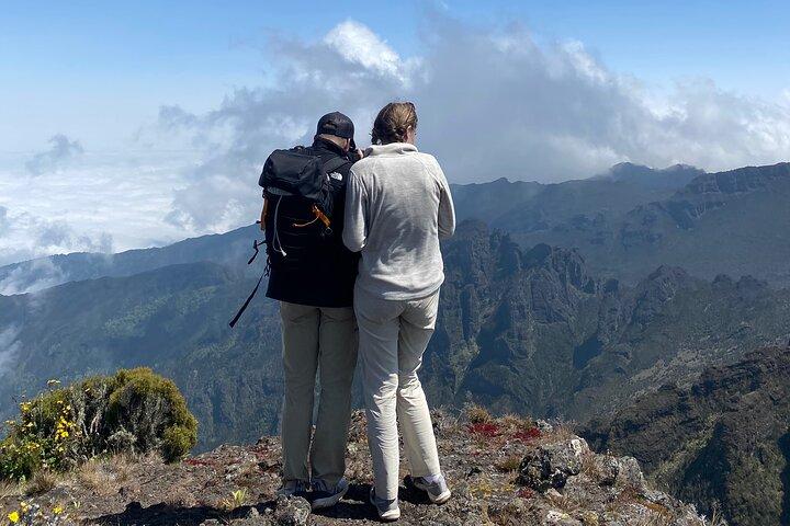 Kilimanjaro Day Hike via Lemosho Route Full Day Experience