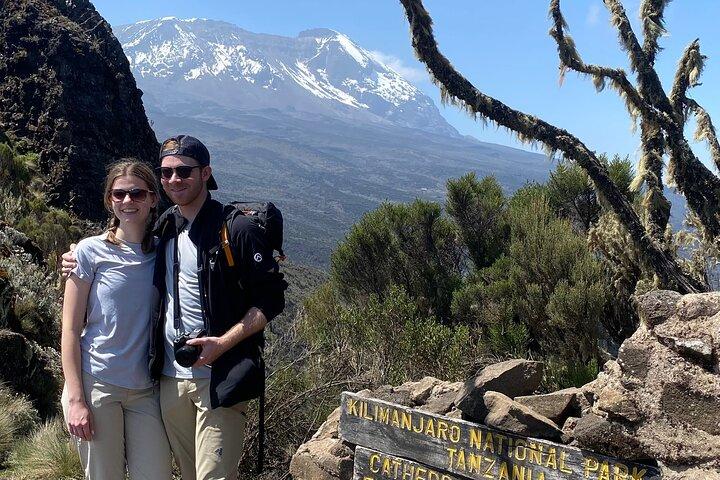Kilimanjaro Day Hike via Lemosho Route Full Day Experience