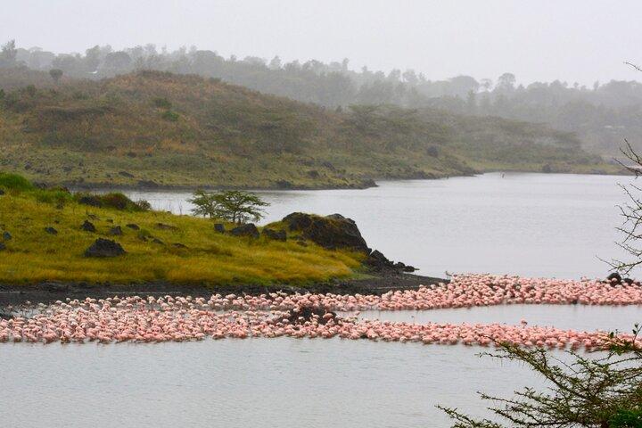 Arusha National Park Walking Safari and Game Drive