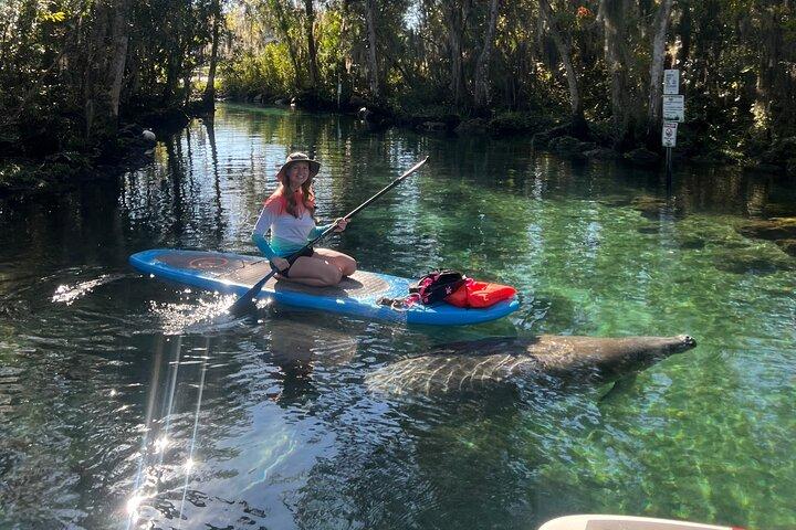 Crystal River Paddle Board Rental | 3 Hour | See The Manatees!