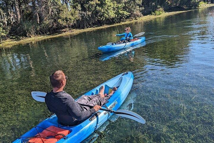 Crystal River Single Kayak Rental | 3 Hour | See The Manatees!