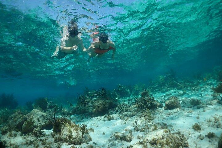 Stingray City Sandbar, Snorkel, Star fish Beach (Family operated)