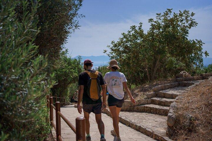 Paphos Highlights Baths of Aphrodite's and Wine Tasting Tour