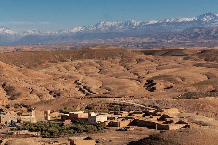 Desert Escape: Buggy Ride, Camel Trek & Dinner Show