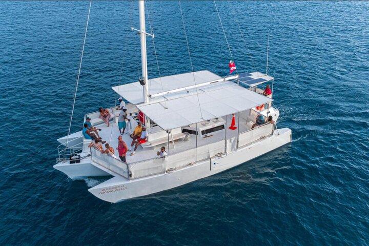Whale Watching a Majestic Cabo Experience