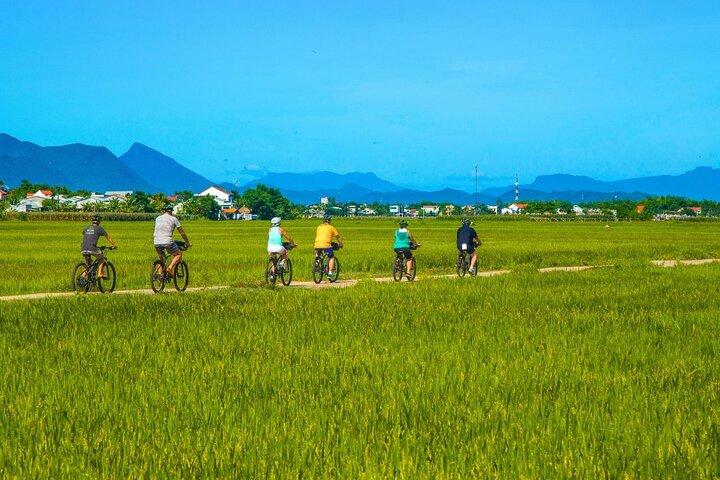 Private Hoi An to My Son Sanctuary Full-Day Bike Tour