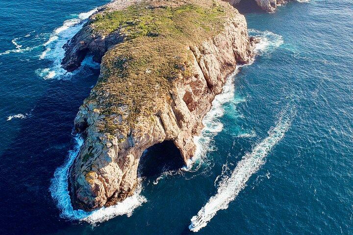 Ile Des Phoques and Maria Island Cruise and Walk Day Tour with Lunch