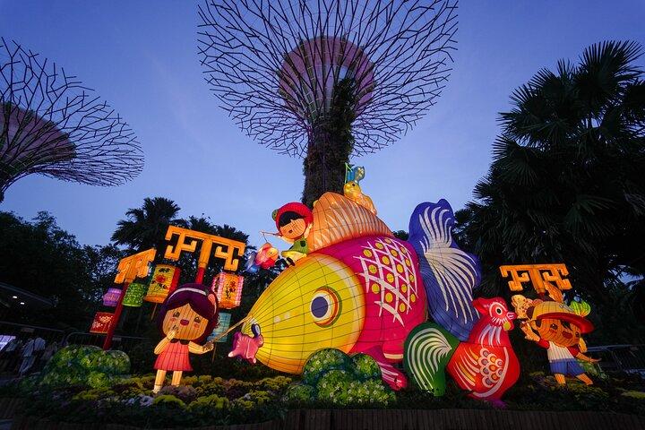 Singapore Gardens by the Bay Package Combo