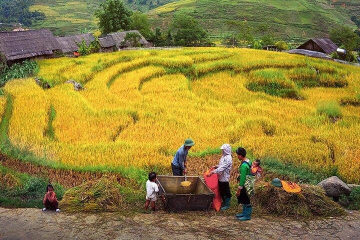 Hanoi: 3-Day Sapa Trek & Ta Van Village Homestay