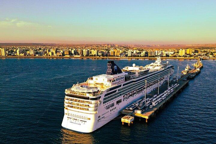 Shore Tours Peninsula Valdes Cruise Ship Passengers Puerto Madryn