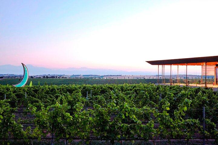 Private Tour from Vineyards to seaside Bliss in Thessaloniki