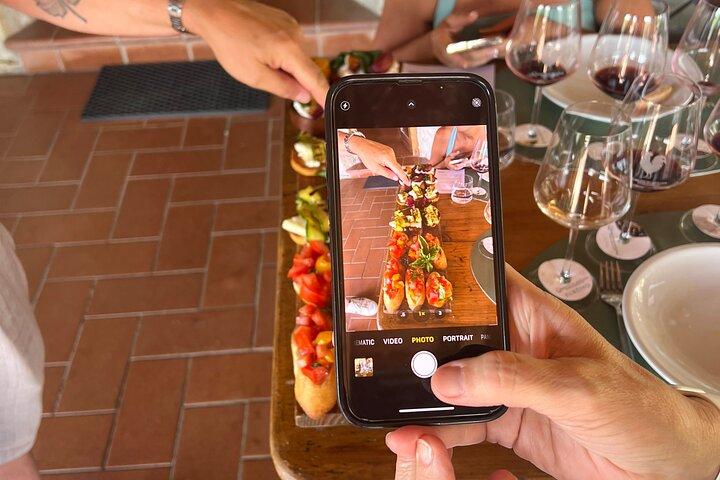 Organic Chianti Classico Wine Tour Tastings with Lunch Included