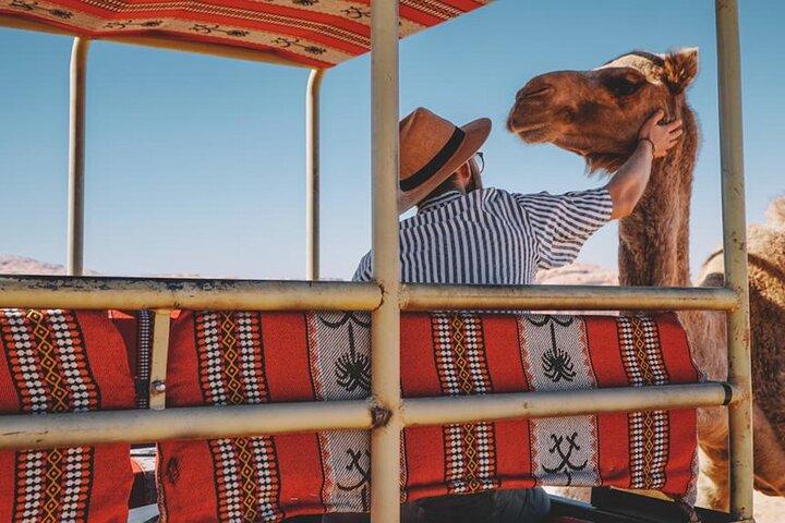 Wadi Rum Full Day Jeep Tour and Bedouin Family Lunch Experience
