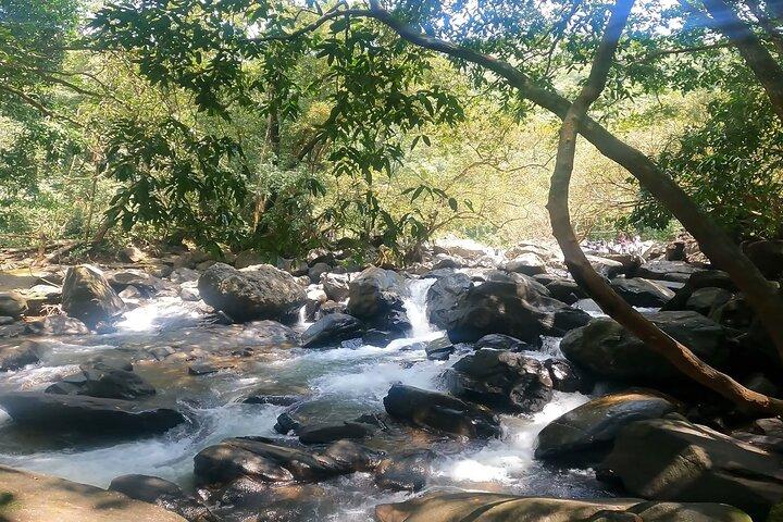 Full Day Join Goa Tour: Dudhsagar Waterfalls & Spice Planatation