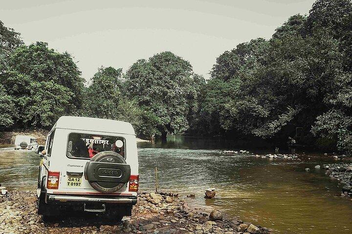 Full Day Join Goa Tour: Dudhsagar Waterfalls & Spice Planatation