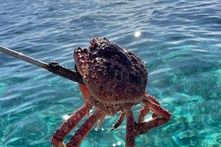 Reef fishing beach cook out