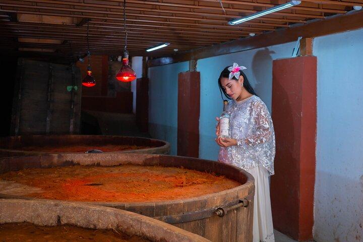 Sustainable Mezcal Tour at an Award Winning Family Distillery