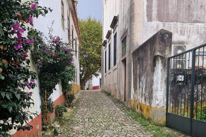 Tour from Lisbon to Porto with Several Stops in Between