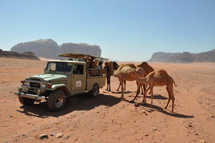 Wadi Rum Full Day Jeep Tour and Bedouin Family Lunch Experience