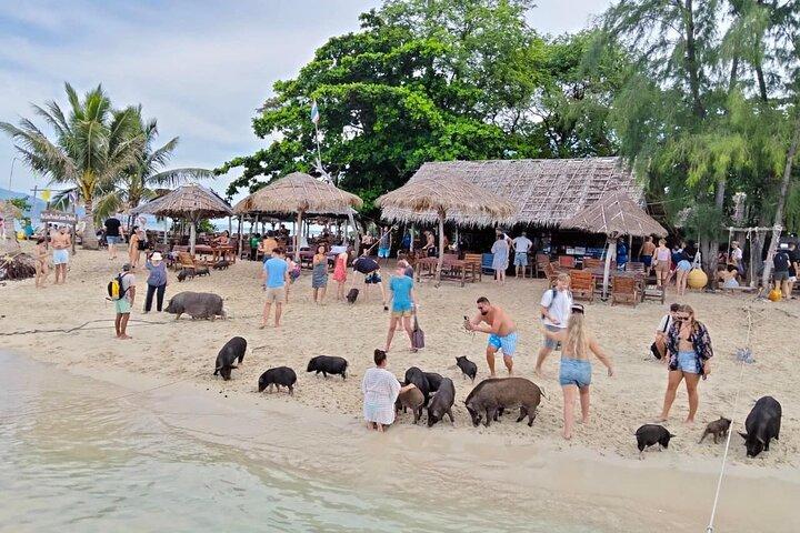 Pig Island Sightseeing, Snorkeling by Catamaran from Koh Samui