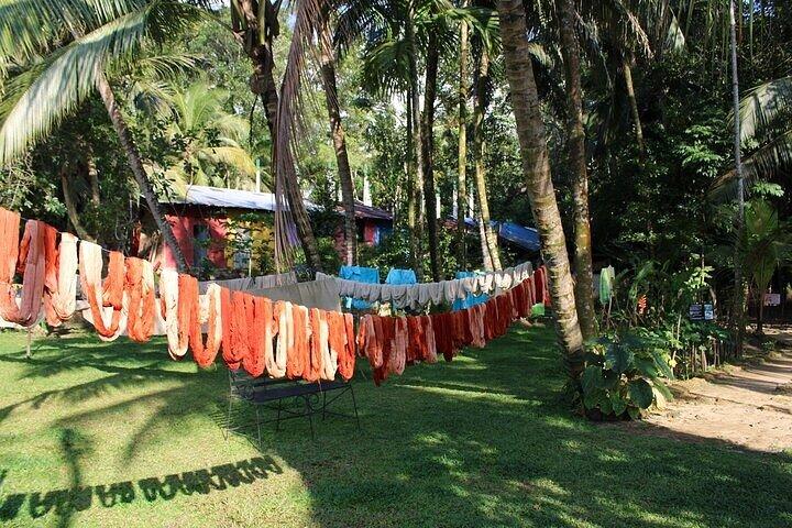 Explore Galle's hidden gems & Dine with Locals