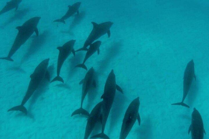 Zanzibar Private 5 Day Minivan Tour