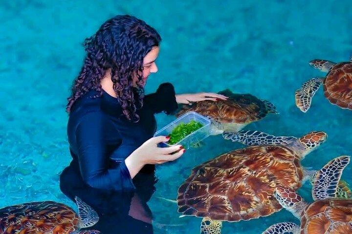 Zanzibar Private 5 Day Minivan Tour