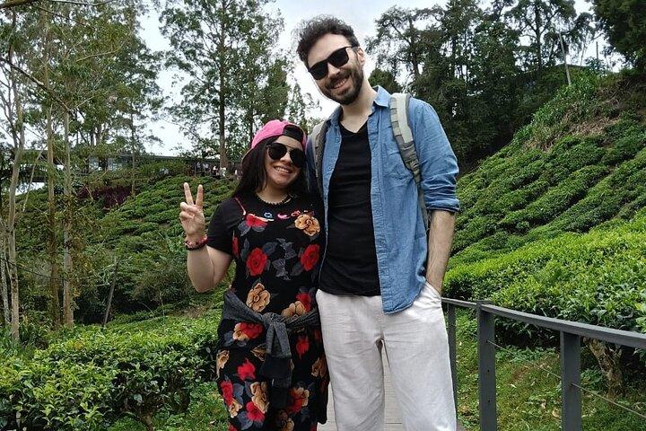 Cameron Highlands Day Trip from Ipoh with Lunch & Mossy Forest