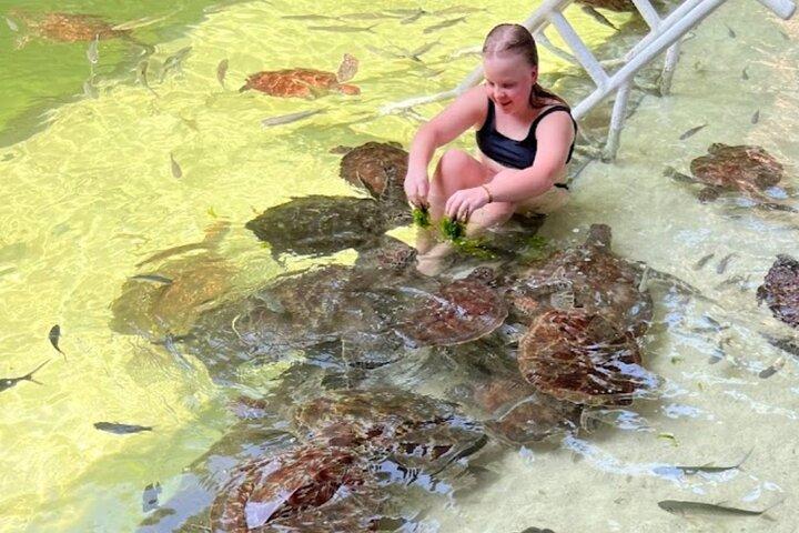 Swim with Sea Turtles at The Lagoons Zanzibar