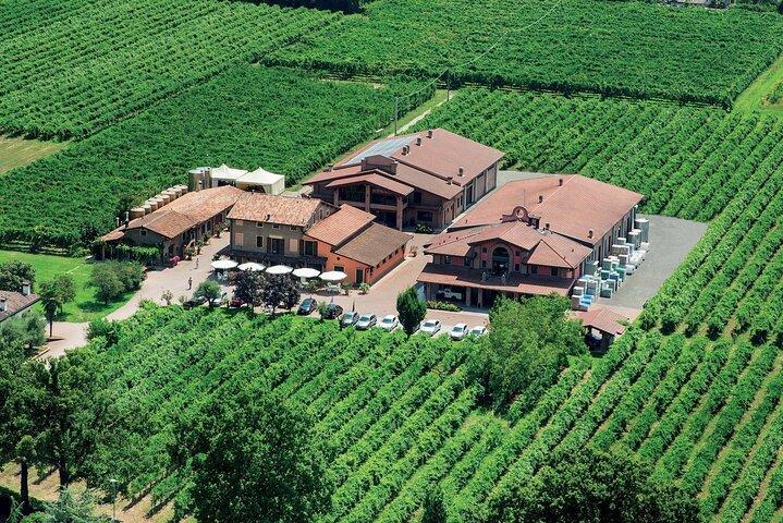 Modena Balsamic Vinegar Experience – Guided Tour and Tasting
