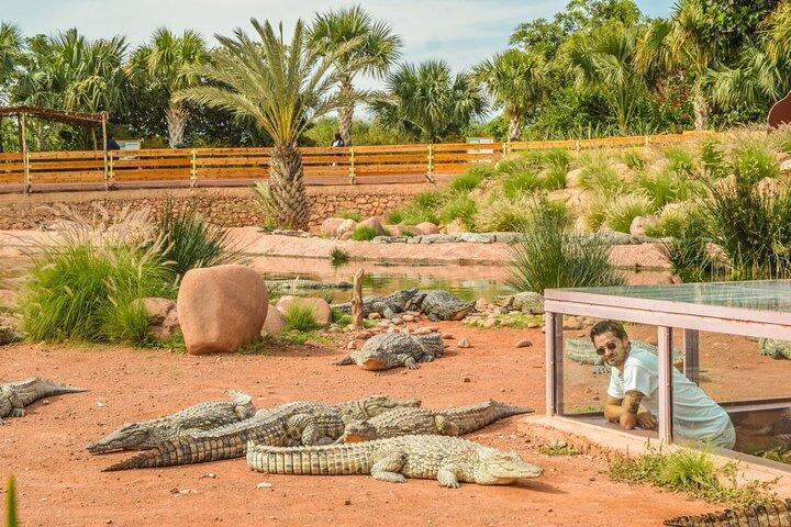 Agadir City Tour & Crocopark Visit – 1 Day Full of Discovery