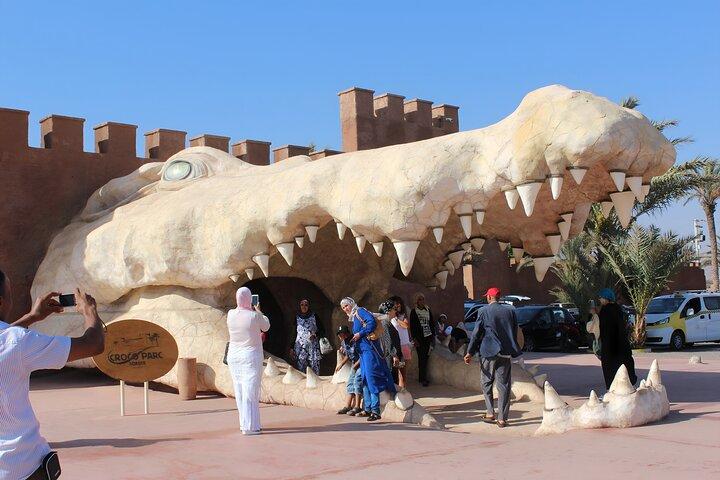 Agadir City Tour & Crocopark Visit – 1 Day Full of Discovery