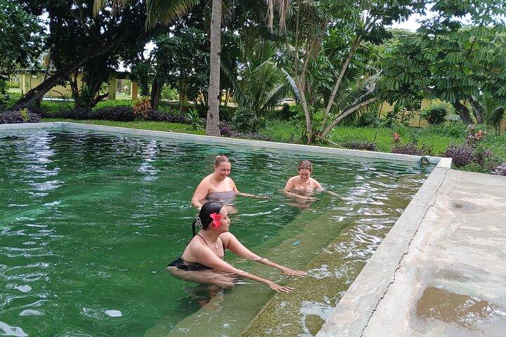 FIJI Official Tifajek MudPool & Hotspring Entry Fee Tickets Only