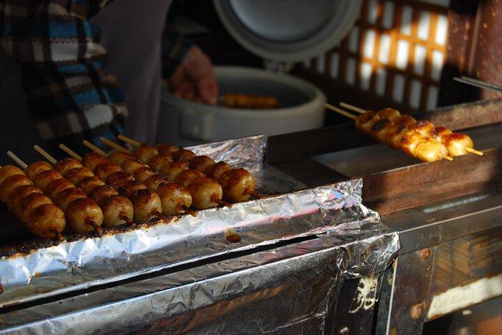 Walking Tour in Takayama Old Town and Historic Streets