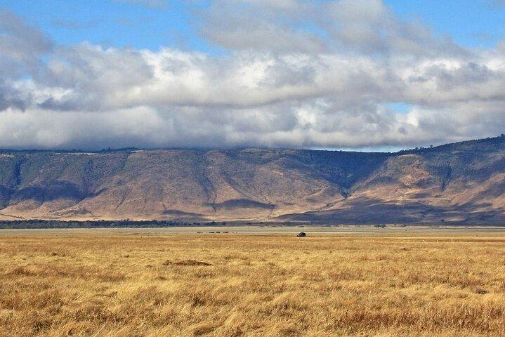Game Drive Tour to Ngorongoro Crater from Arusha