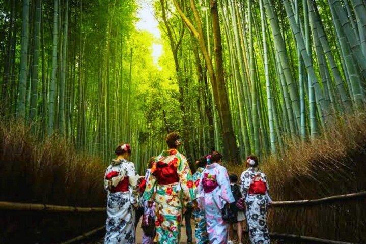 Kiyomizu dera Fushimi Inari and Nara Park Day Tour