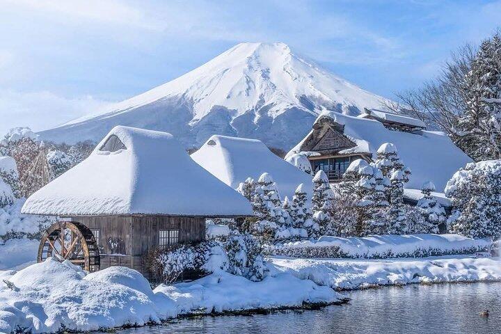 Mt. Fuji Private Day Trip from Tokyo with English-Speaking Driver