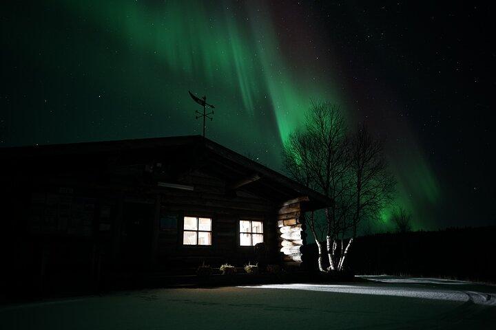 Smoked Salmon and Sauna Experience in Lappish Wilderness
