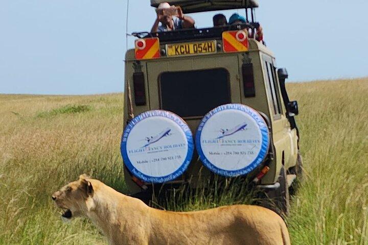 3 Days Masai Mara Kenya Big Five Private Safari