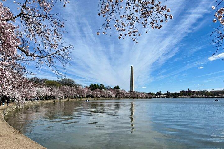 Washington D.C. ICONIC City & Mount Vernon Small Group 1-Day Tour